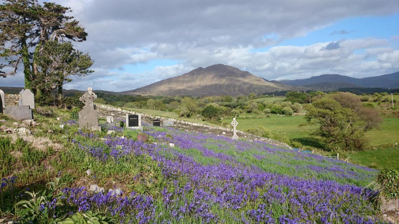 Kenmare Eco Lodge Luaran gambar