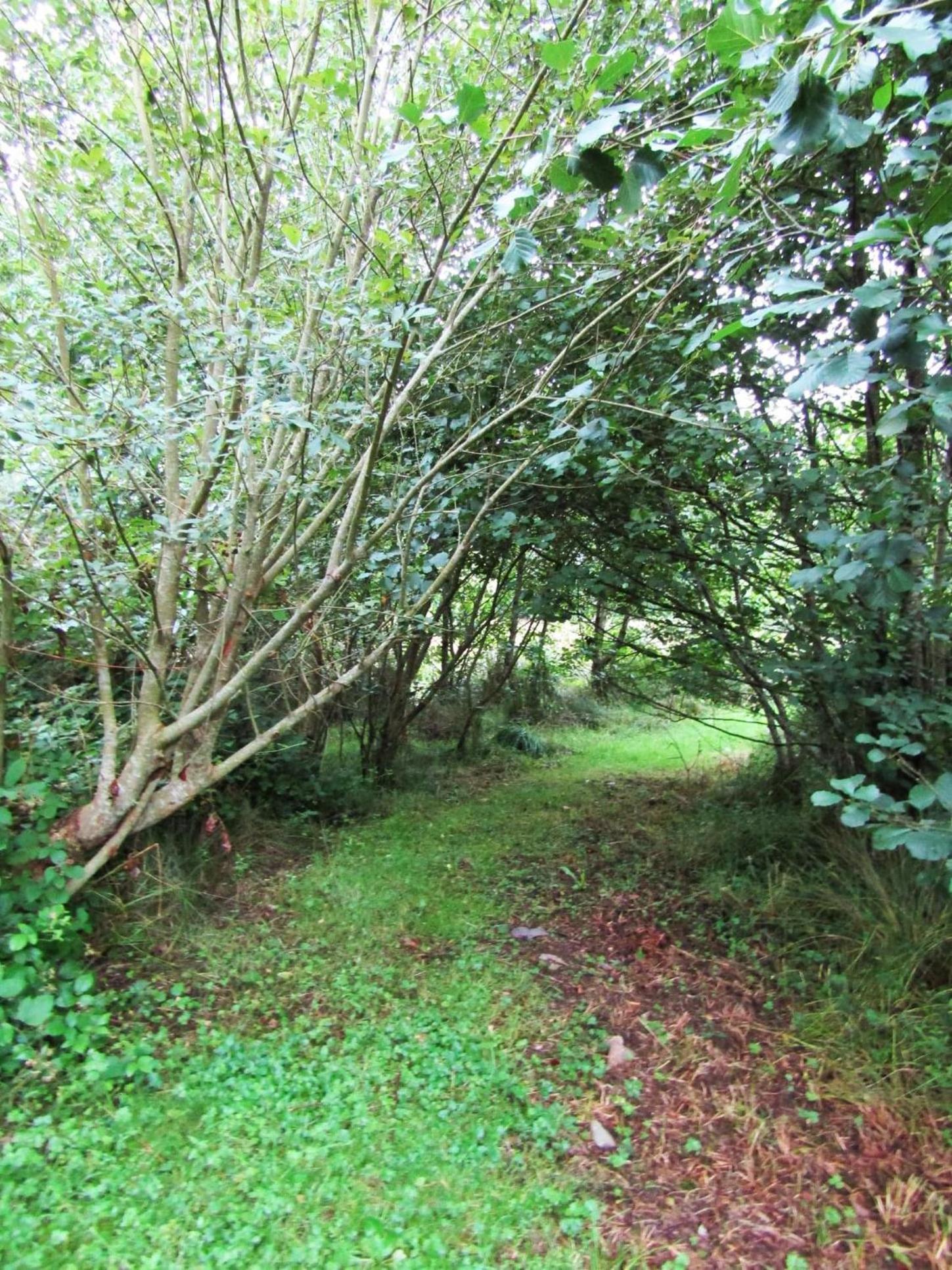 Kenmare Eco Lodge Luaran gambar