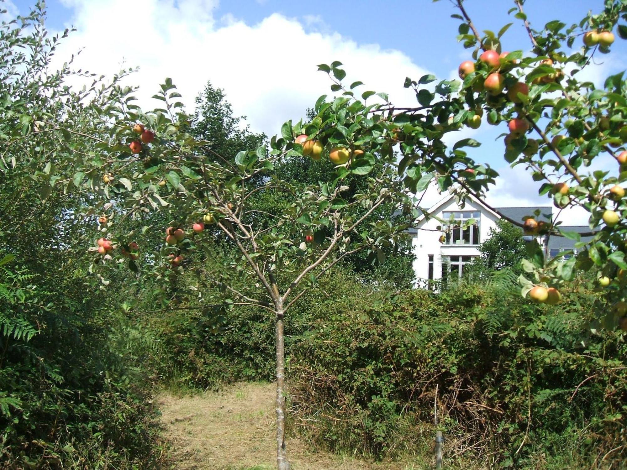 Kenmare Eco Lodge Luaran gambar