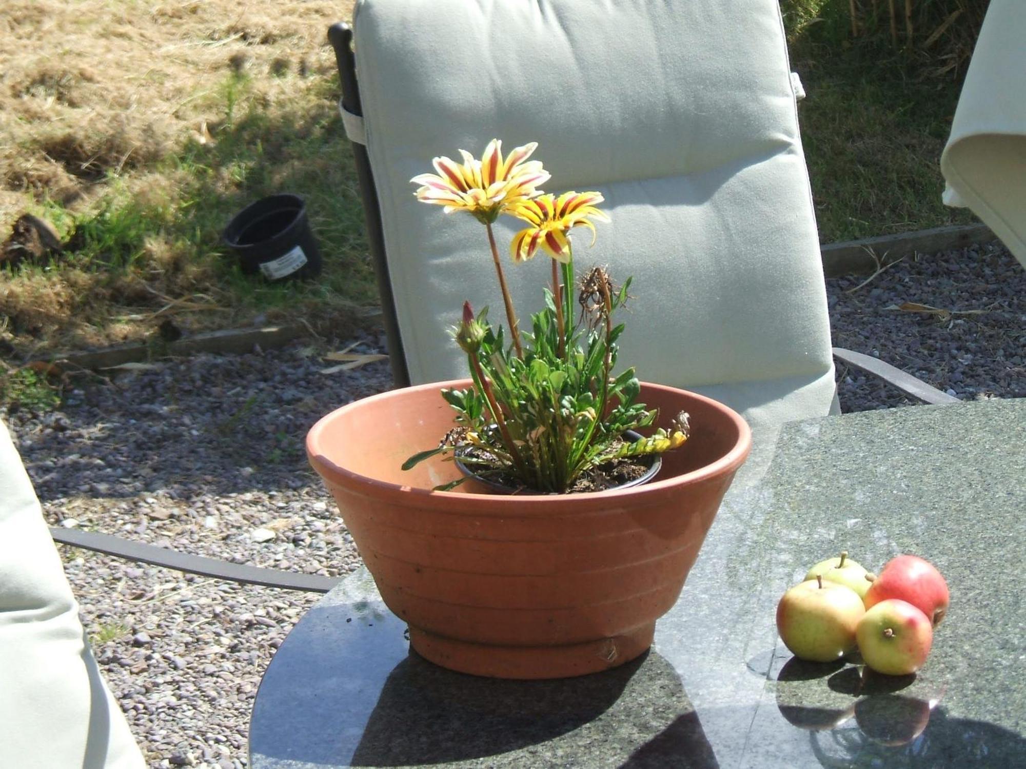 Kenmare Eco Lodge Luaran gambar